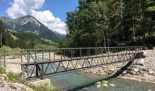 crane girder bridge in Sonntag, Vorarlberg