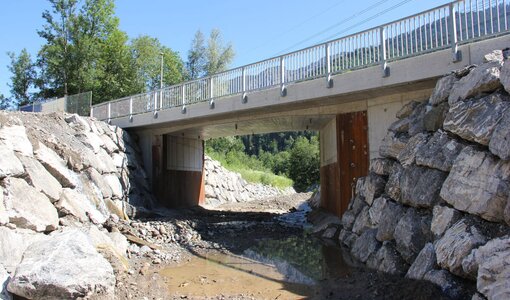 L83 Vandans, WLV, Planung Neubau Auenlatschbachbrücke amiko