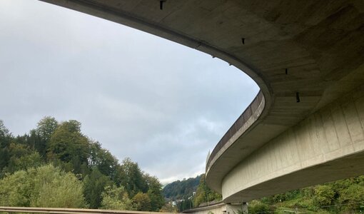 Land Steiermark, R7 Ennstalradweg Weng Weißenbach, Variante Buchau
