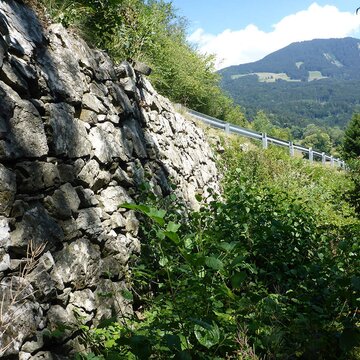 Wannen- und Stützbauwerksprüfungen Landesstraßen VLBG 2018
