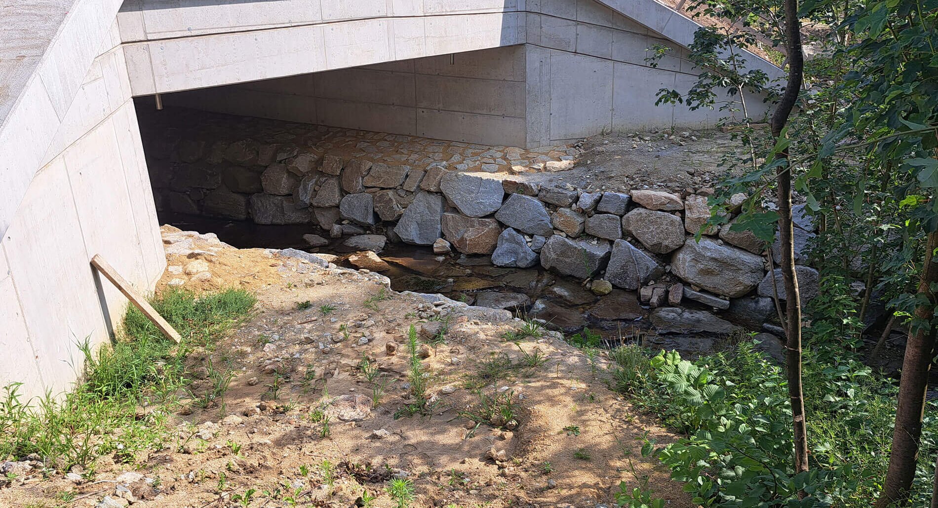 ASFINAG, A7, Auhof, Neubau Brücke über Katzbach